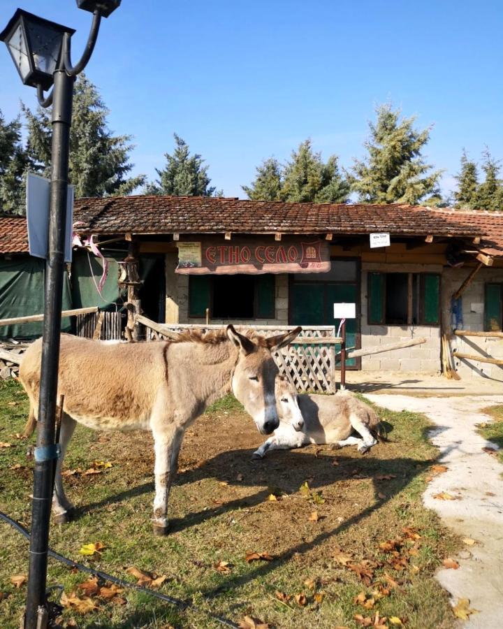 Etno Selo Timcevski Complex Vojnik Exterior foto